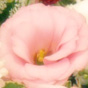 Sample course